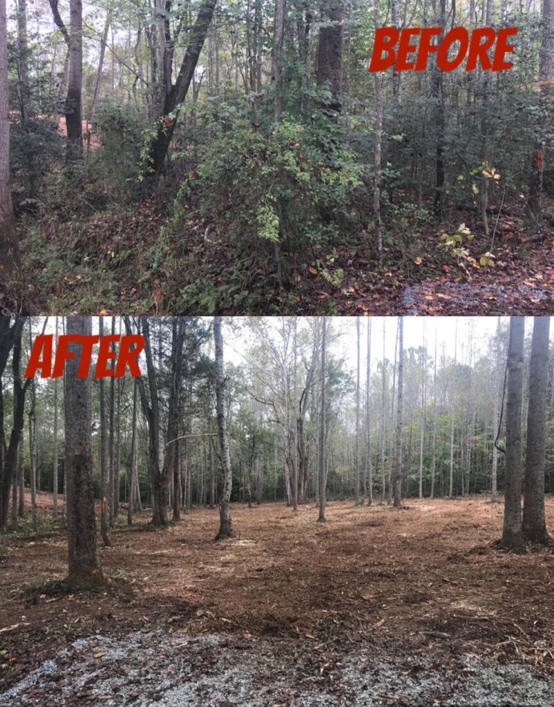 before and after mulching