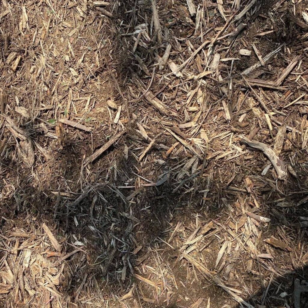 mulch