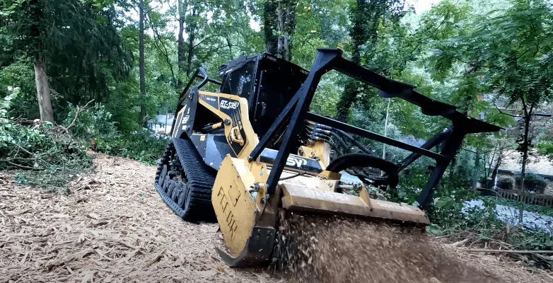 asv forestry mulching in Hailey