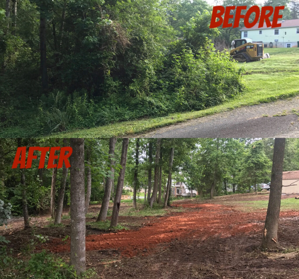 forestry mulching Hailey