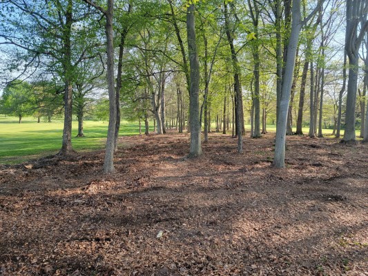 mulching Hailey